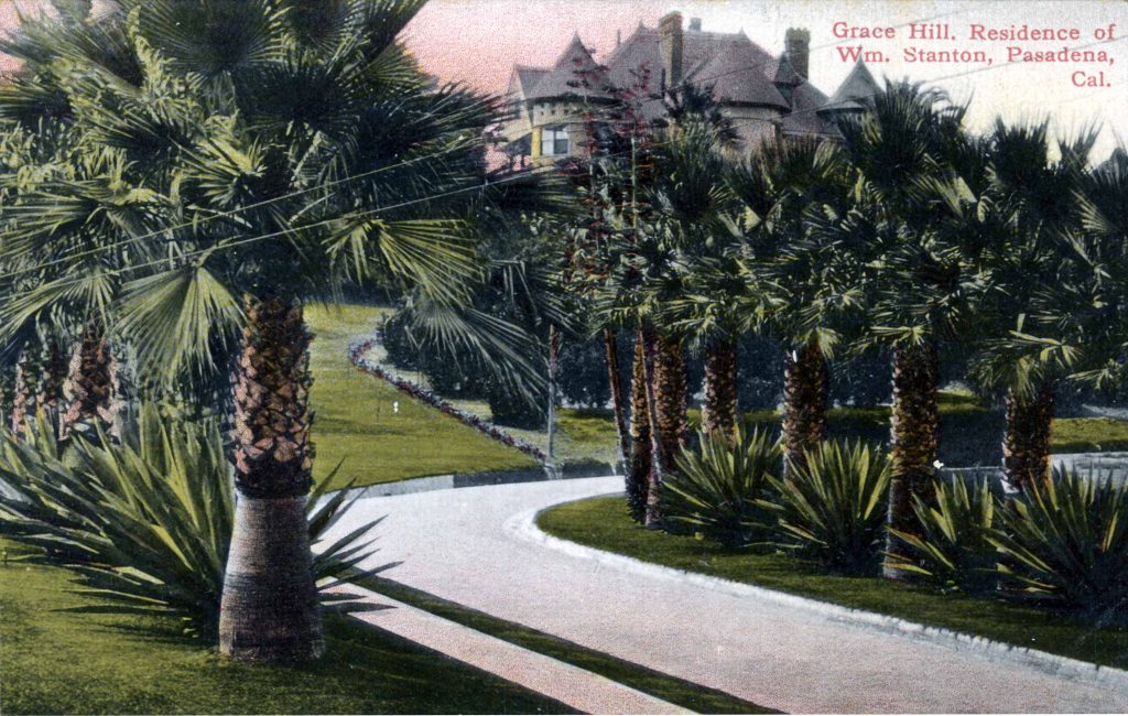 An old postcard of palm trees in front of a house.