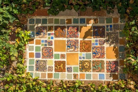 A vibrant tiled wall adorned with flourishing ivy, showcasing the perfect blend of colors and natural beauty.