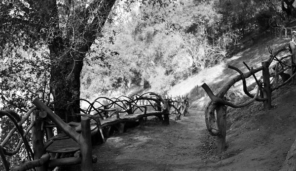 A black and white photo of a wooden bench on a path.