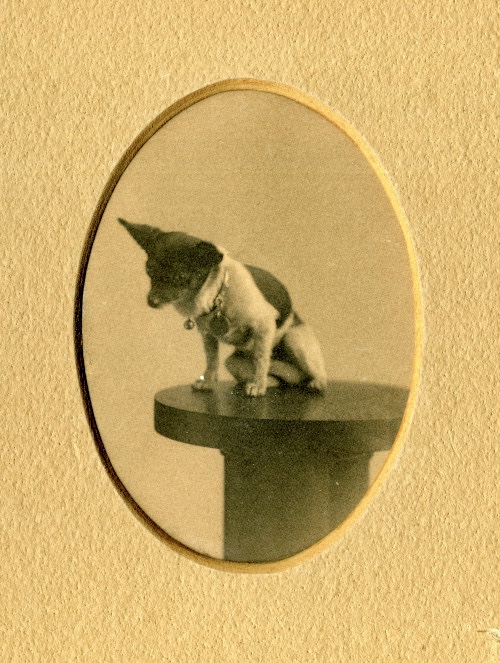 Pinta, the “Imp of Satan”