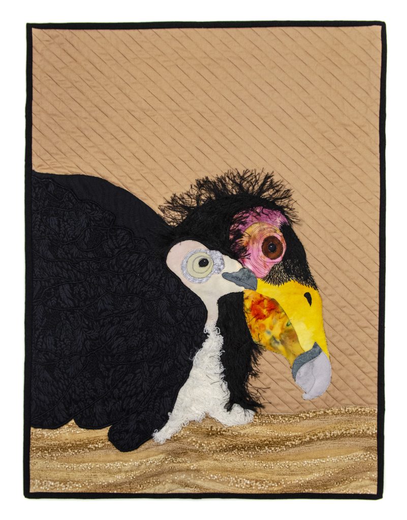 Celebrate the Comeback of the Condors