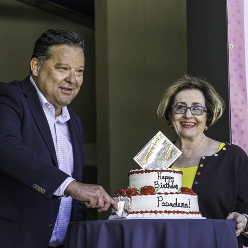 Cake Cutting